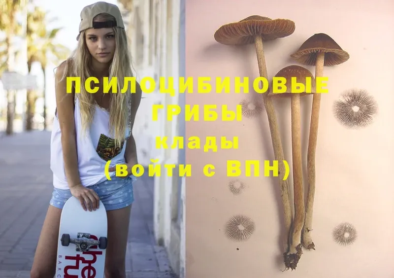 Галлюциногенные грибы MAGIC MUSHROOMS  omg сайт  Заринск  купить  